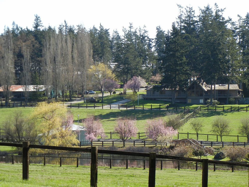 Wildwood Farm Bed & Breakfast Oak Harbor Exterior foto